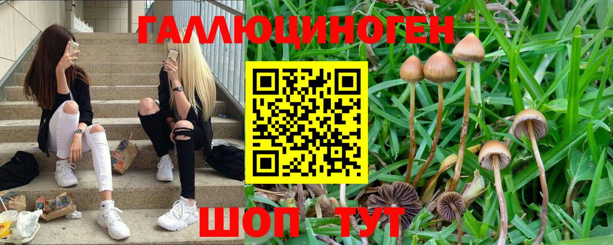 Галлюциногенные грибы ЛСД Кириши